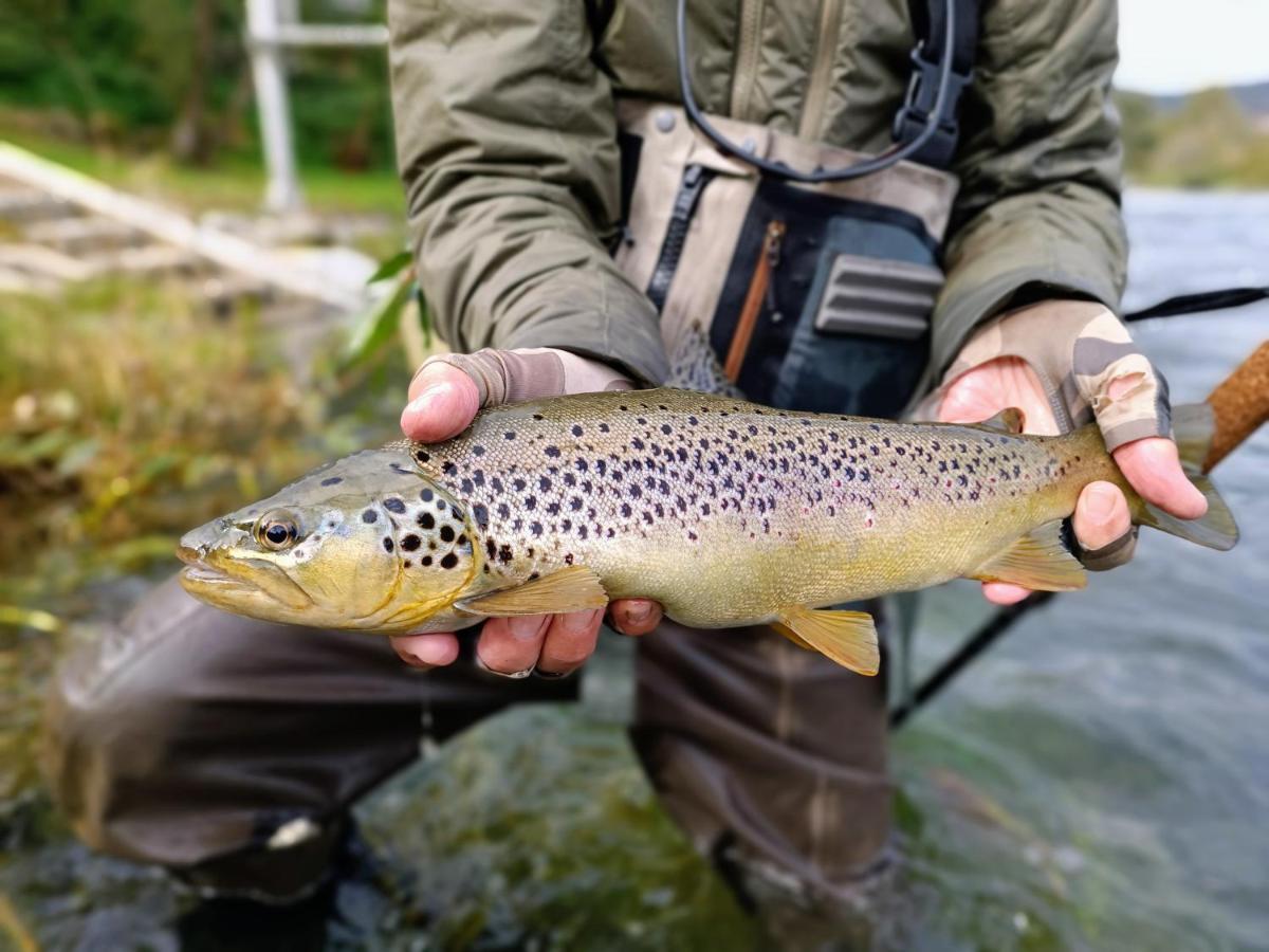 Krka River Lodge Znojile pri Krki Екстериор снимка